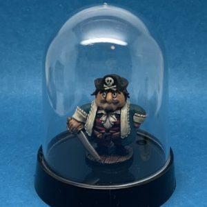 Acrylic Display Dome