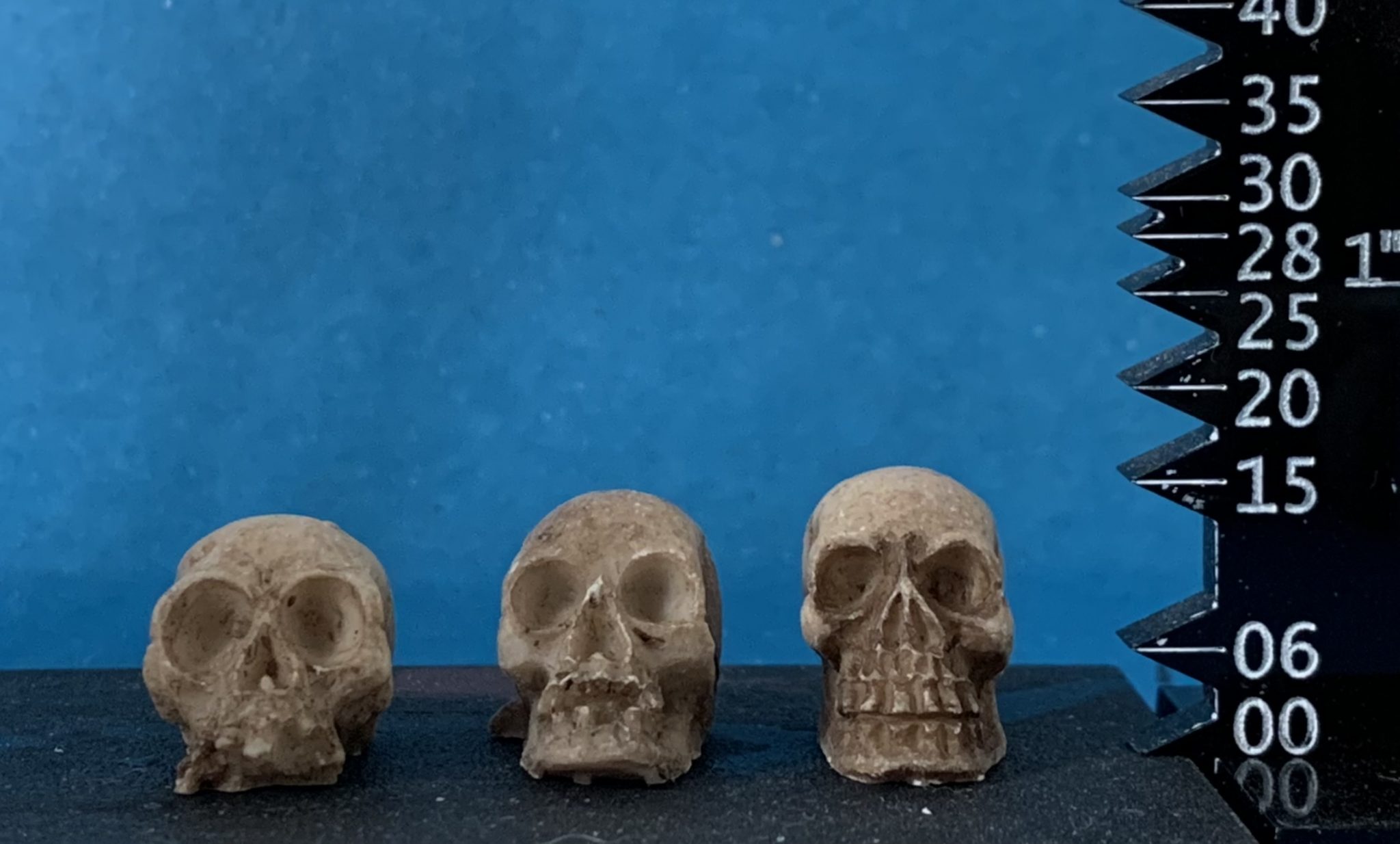 Skulls!